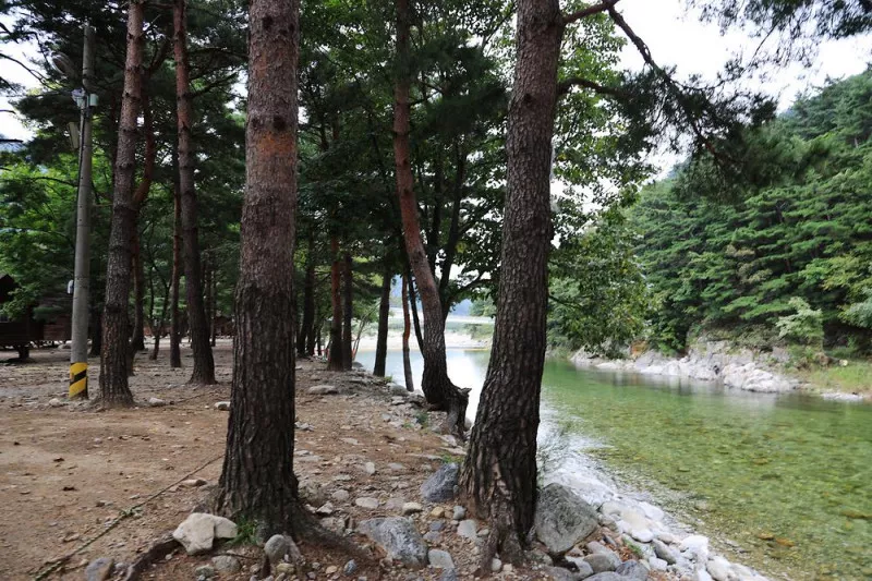 해담마을 야영장 5
