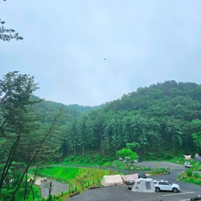 더 빌리지 8