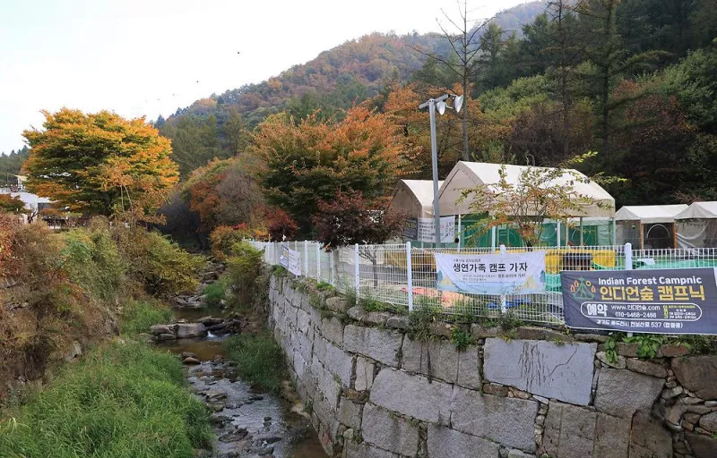 인디언숲 캠프닉 8