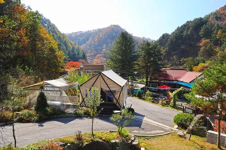테라스527 캠핑장 1