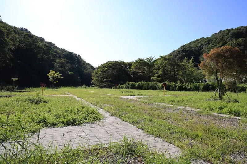 은고개 캠핑장 2