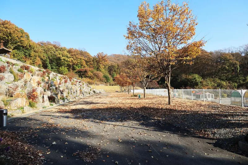 달그린캠프 9
