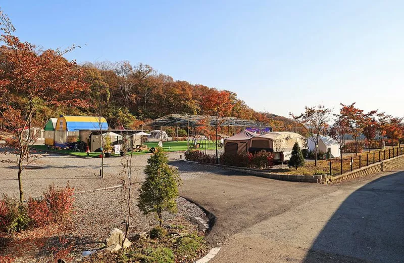 달그린캠프 8