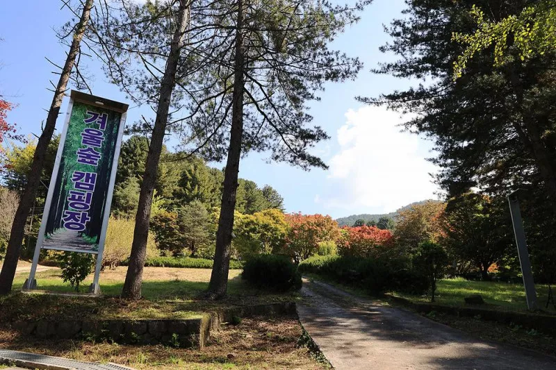 (주)구들택 겨울숲 지점 6