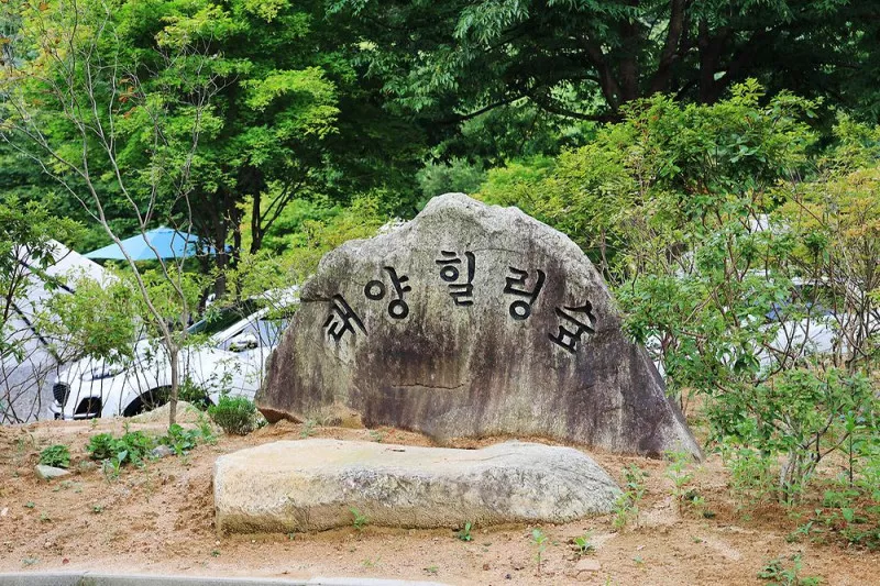 태양힐링숲 10