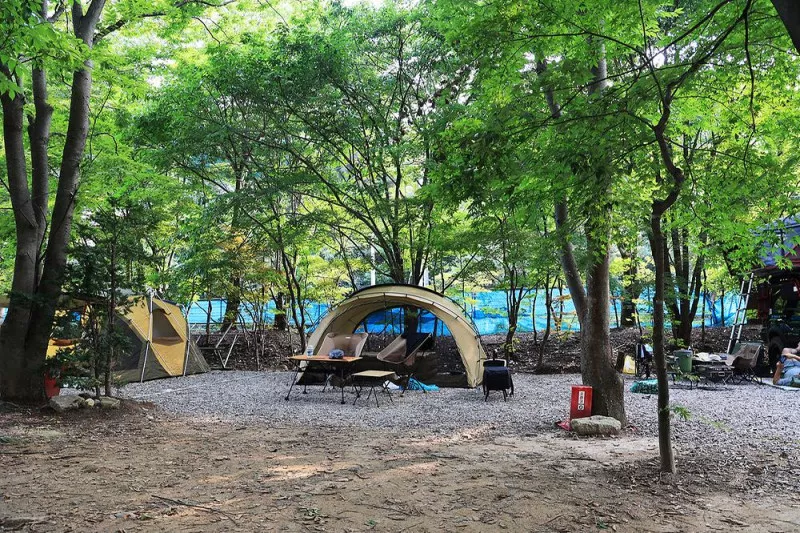 태양힐링숲 6