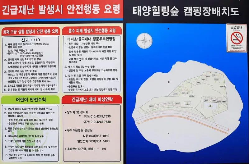 태양힐링숲 2