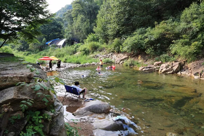 태양힐링숲 4
