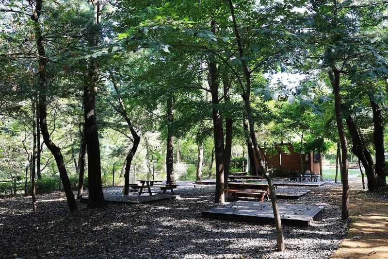 관악산 계곡 캠핑장 8