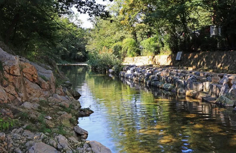 관악산 계곡 캠핑장 3