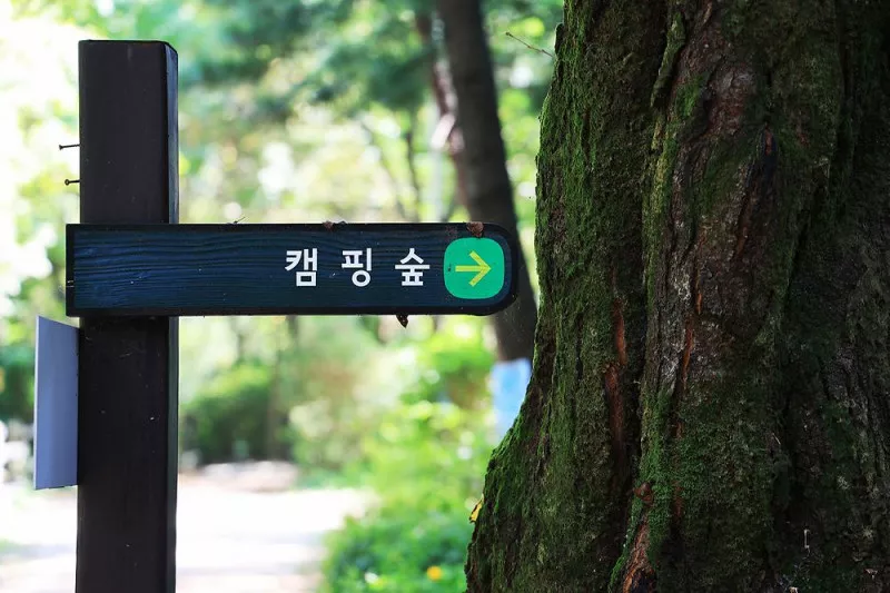 관악산 계곡 캠핑장 7