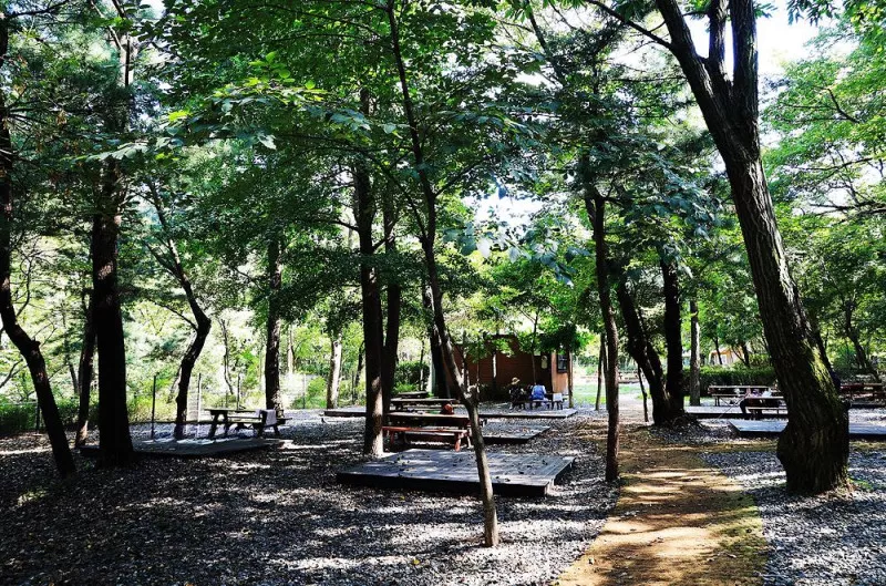 관악산 계곡 캠핑장 9