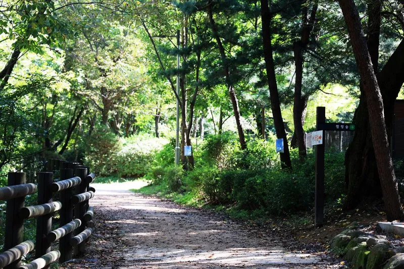 관악산 계곡 캠핑장 5