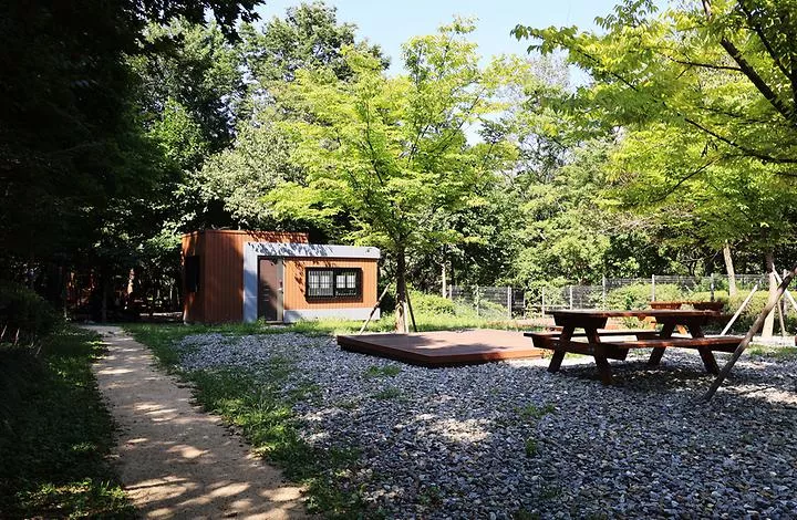 관악산 계곡 캠핑장 1