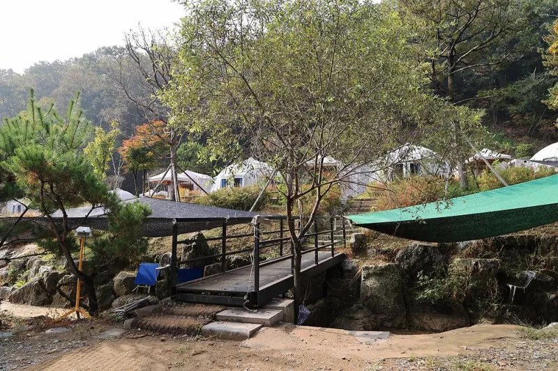 햇골글램핑 6