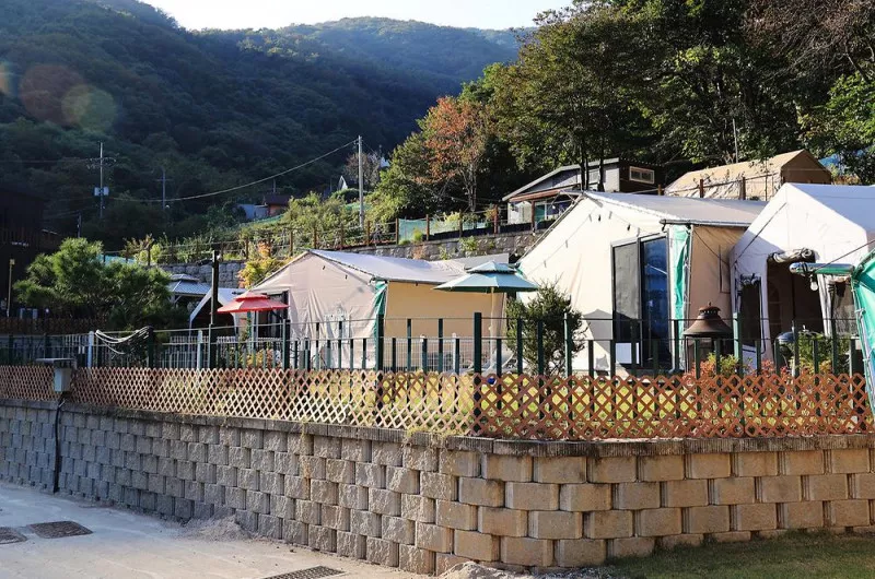 캠프위드펫&애견글램핑 4