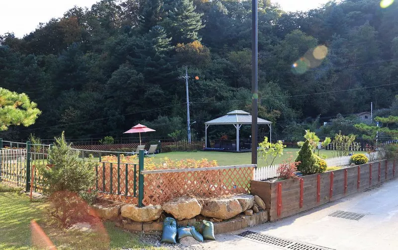캠프위드펫&애견글램핑 6