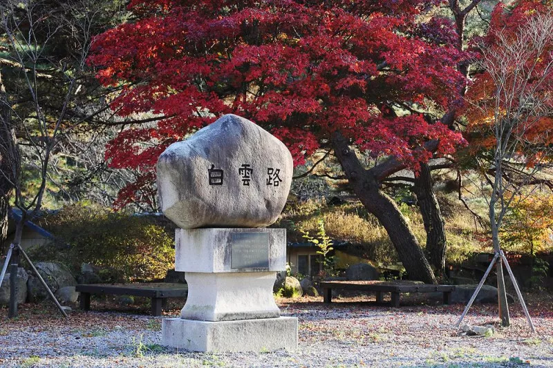 가보세캠핑장 9