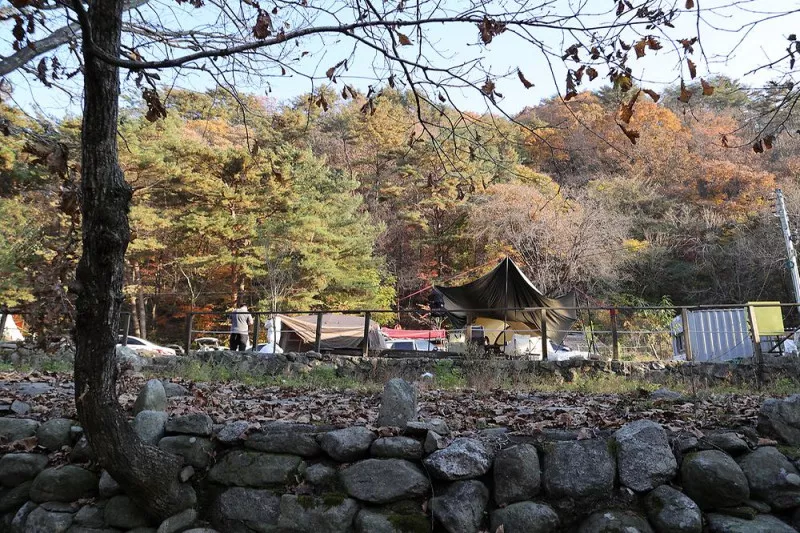 가보세캠핑장 2
