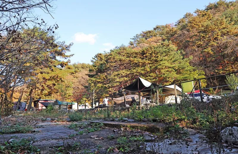 가보세캠핑장 4