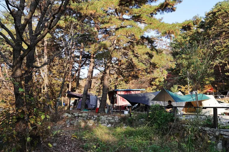 가보세캠핑장 5