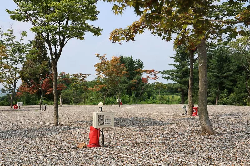 자유로캠핑장 6