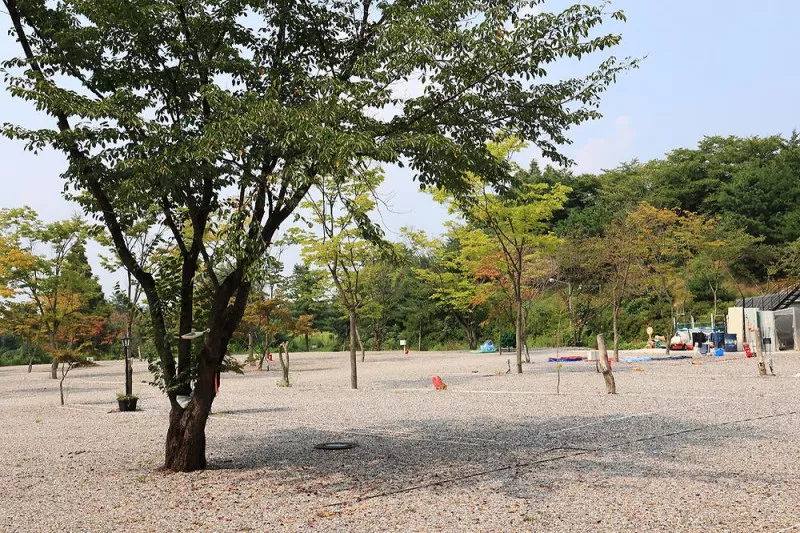 자유로캠핑장 9