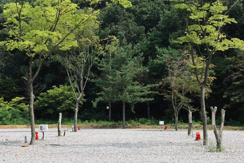 자유로캠핑장 4