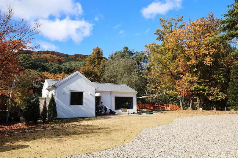 타이니포춘 4