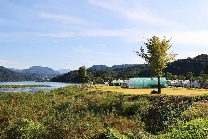 리버위드 글램핑 7