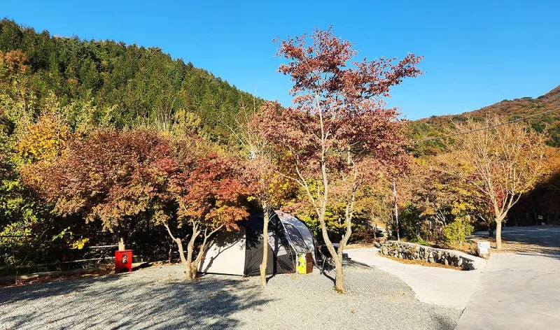 복골캠핑장 7