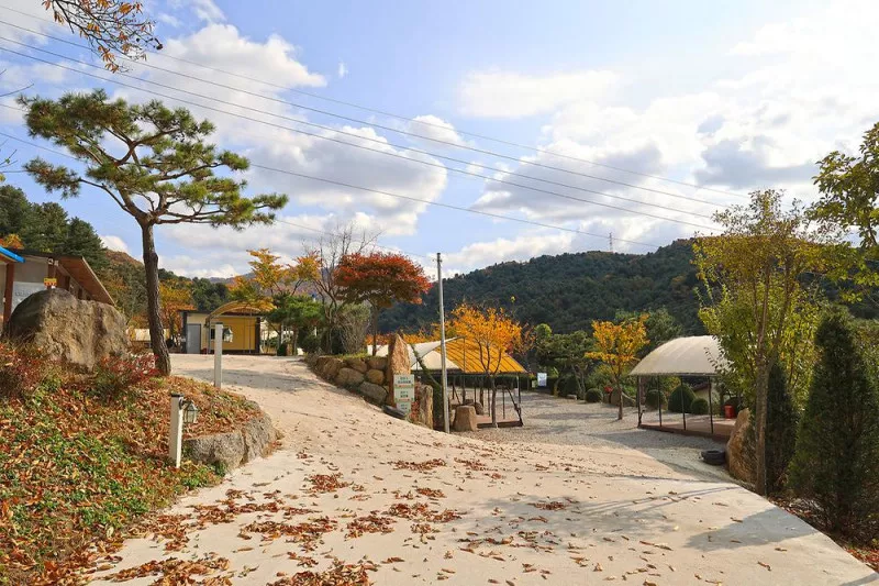 금동휴양림캠프2 4