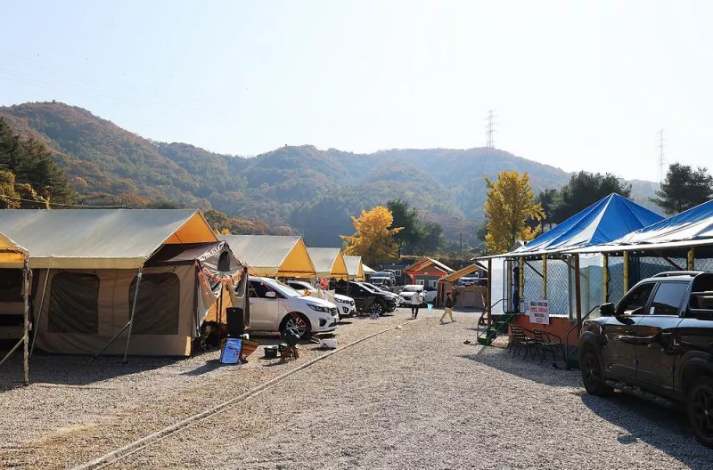 숲속의쉼터 키즈 6