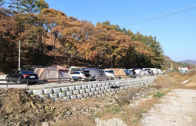 숲속의쉼터 키즈 2