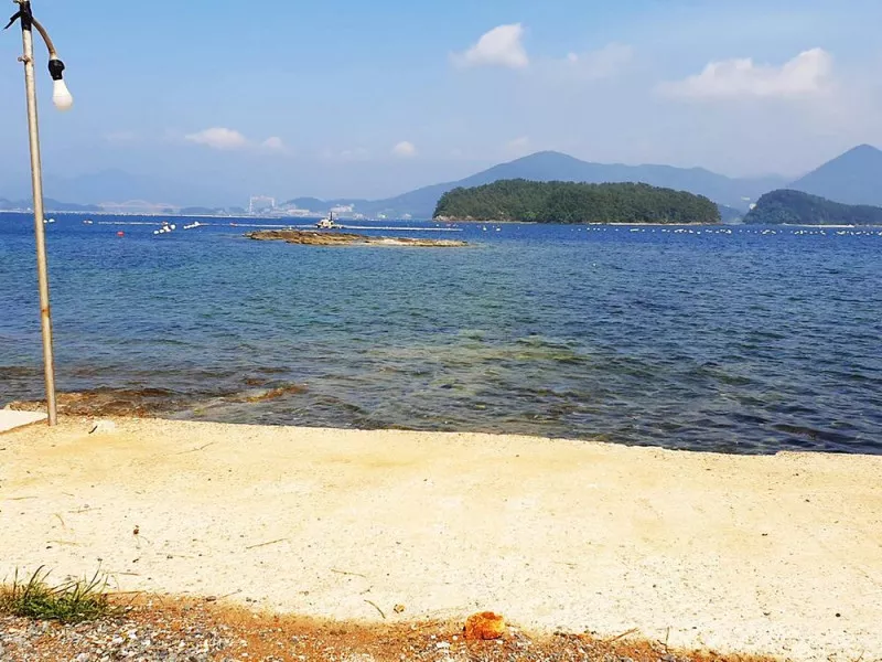 대권오토야영캠핑장 8