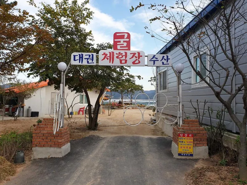대권오토야영캠핑장 10