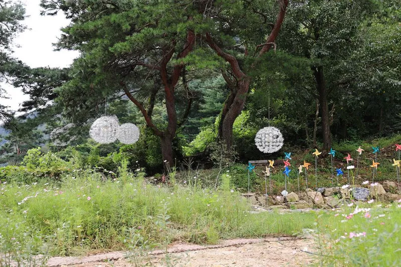 숲 나들이 야영장 3