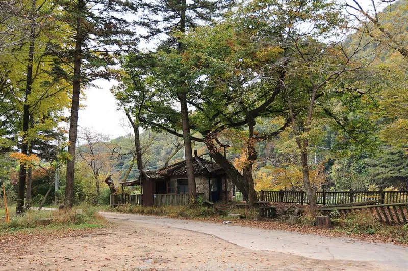 일영Star캠핑장 8