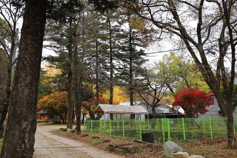 일영Star캠핑장 7