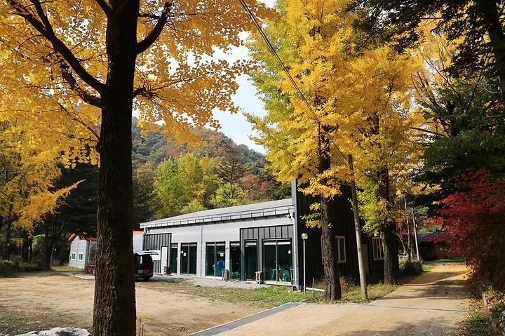 일영Star캠핑장 1