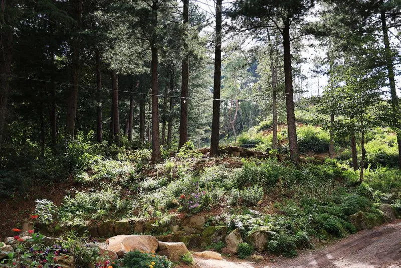 노섬브리아 야영장 10
