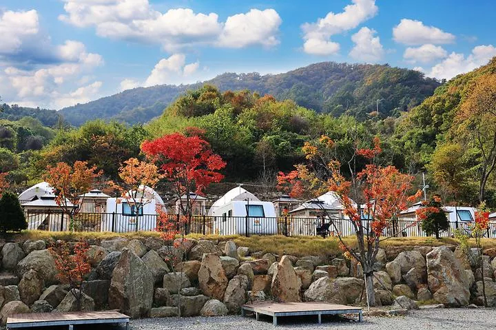 스토리숲(story숲) 1