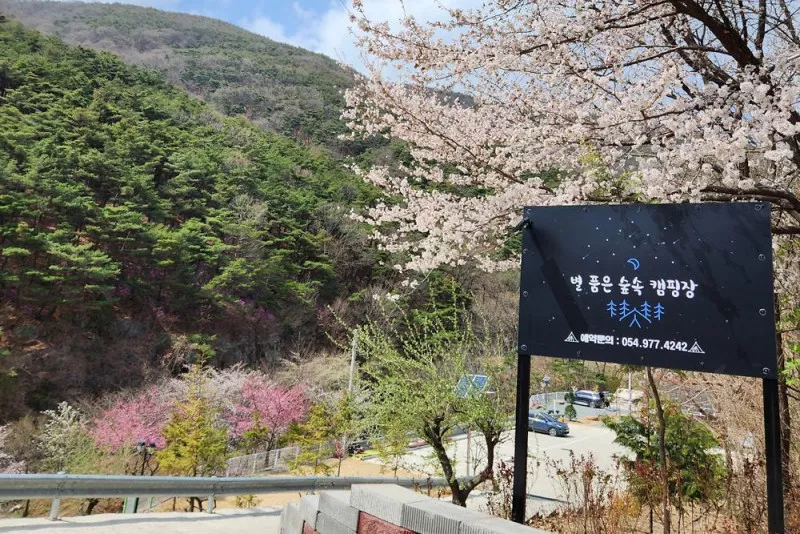 별품은 숲속 캠핑장 3