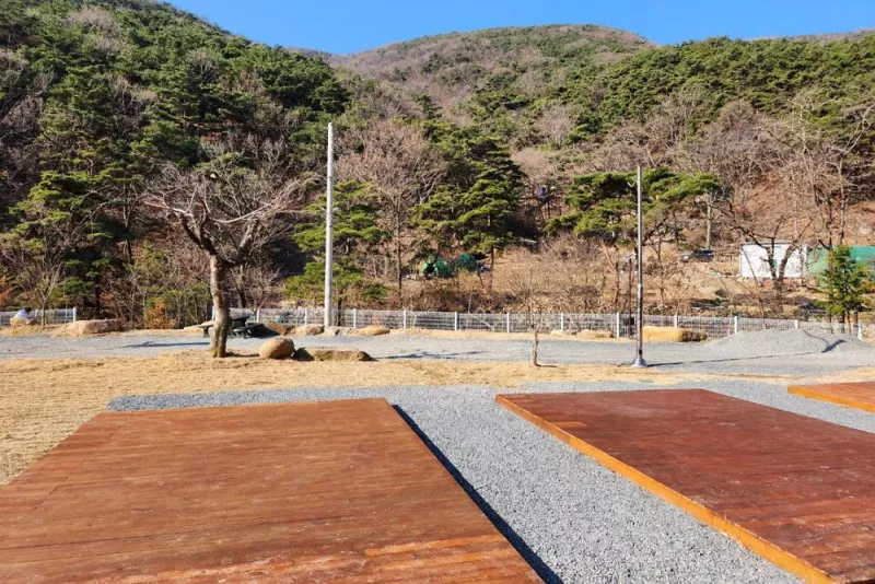 별품은 숲속 캠핑장 11