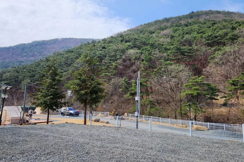 별품은 숲속 캠핑장 7