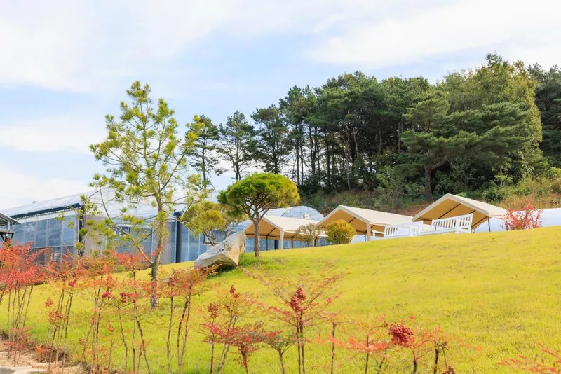 세제골농원 숲속야영장 4
