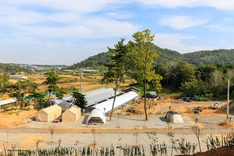 세제골농원 숲속야영장 9