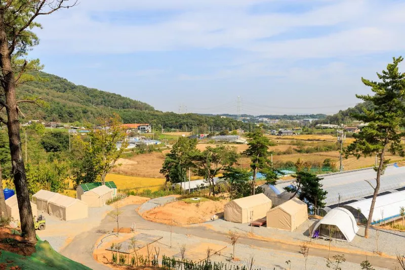 세제골농원 숲속야영장 10