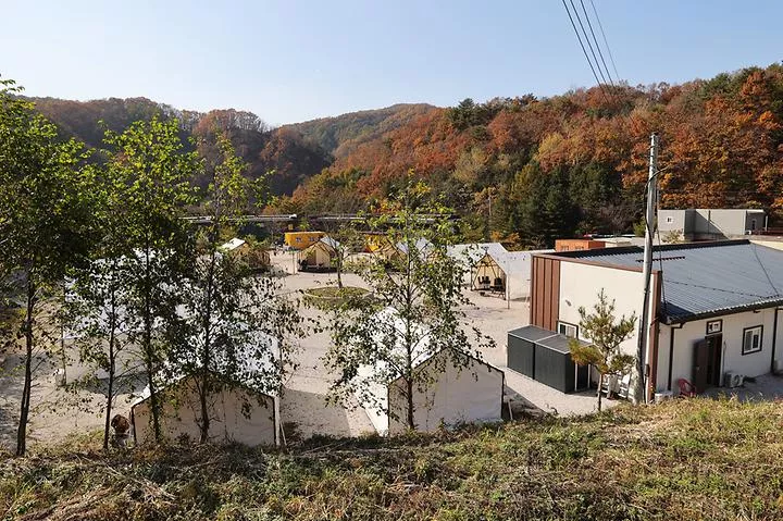 호랑이캠핑 1