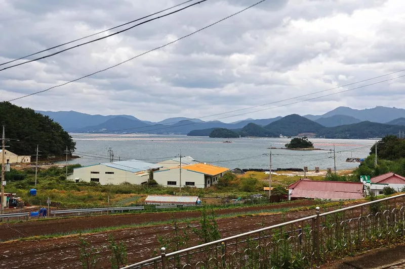 한산도 충무공교실 야영장 6